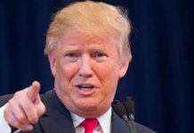 Donald Trump trial enters pivotal week as calls for witnesses grow